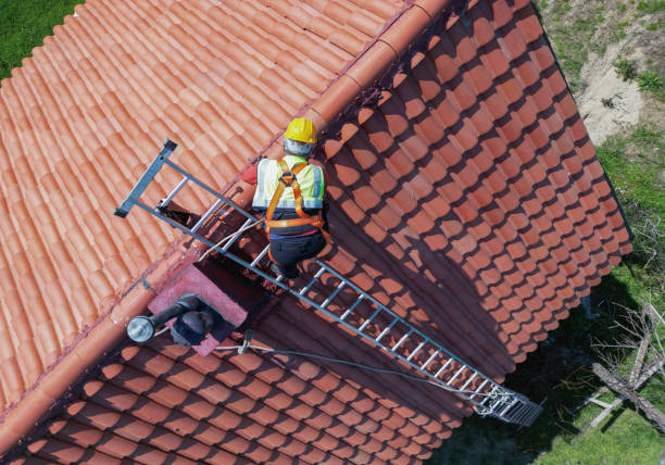 Roof Moss and Algae Removal